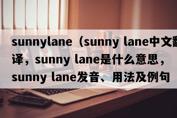 sunnylane（sunny lane中文翻譯，sunny lane是什么意思，sunny lane發(fā)音、用法及例句）