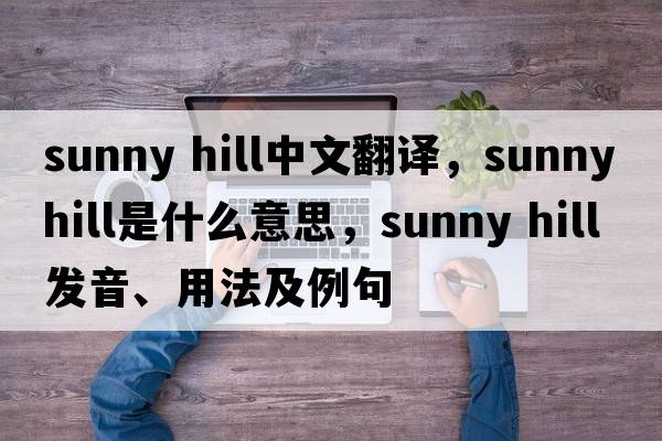 sunny hill中文翻譯，sunny hill是什么意思，sunny hill發(fā)音、用法及例句