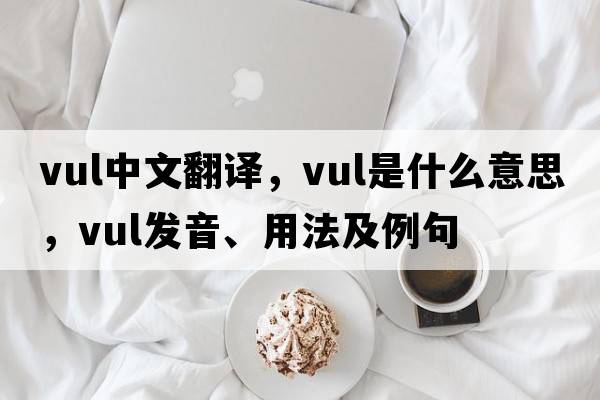 vul中文翻譯，vul是什么意思，vul發(fā)音、用法及例句