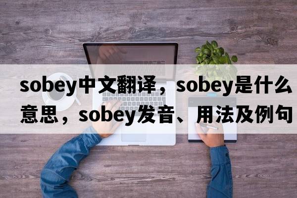 sobey中文翻譯，sobey是什么意思，sobey發(fā)音、用法及例句