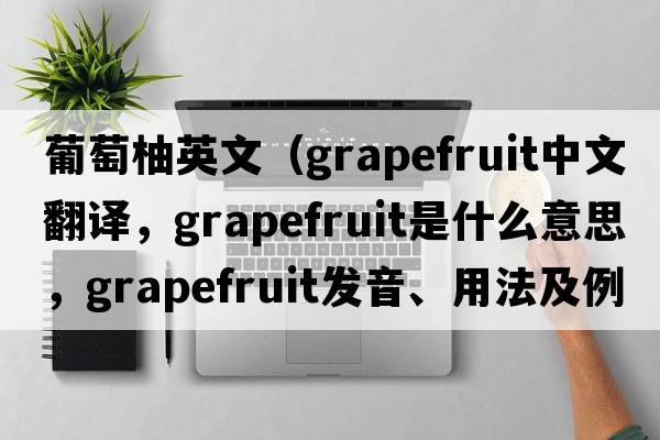葡萄柚英文（grapefruit中文翻譯，grapefruit是什么意思，grapefruit發(fā)音、用法及例句）