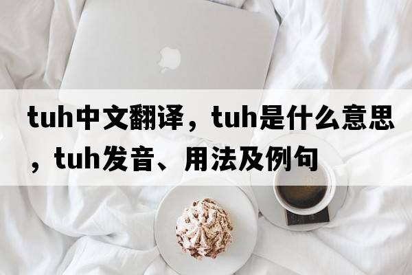 TUH中文翻譯，TUH是什么意思，TUH發(fā)音、用法及例句