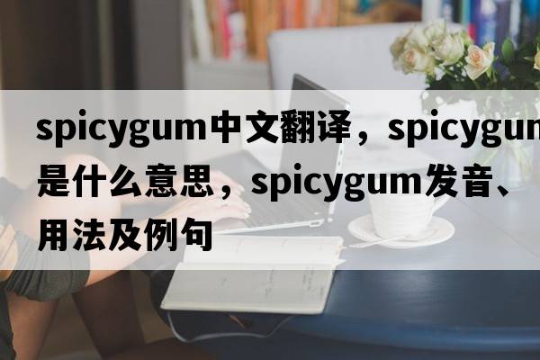 spicygum中文翻譯，spicygum是什么意思，spicygum發(fā)音、用法及例句