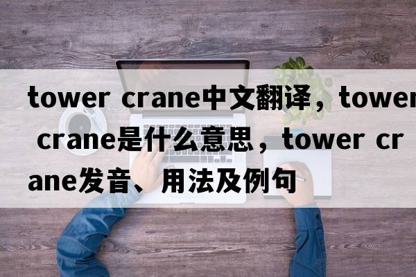tower crane中文翻譯，tower crane是什么意思，tower crane發(fā)音、用法及例句