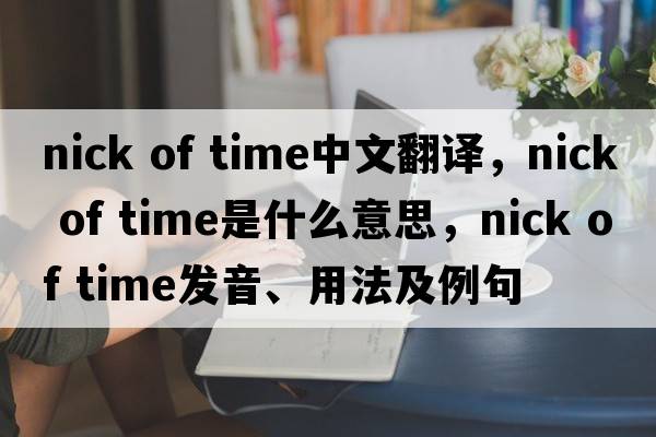 nick of time中文翻譯，nick of time是什么意思，nick of time發(fā)音、用法及例句