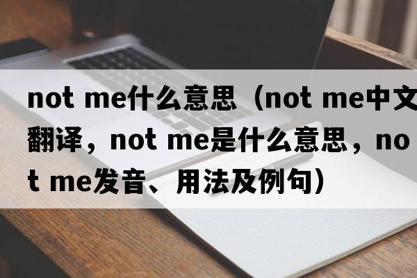 not me什么意思（not me中文翻譯，not me是什么意思，not me發(fā)音、用法及例句）