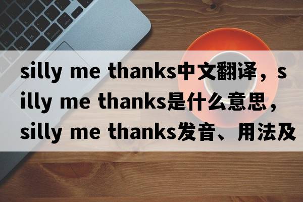 silly me thanks中文翻譯，silly me thanks是什么意思，silly me thanks發(fā)音、用法及例句