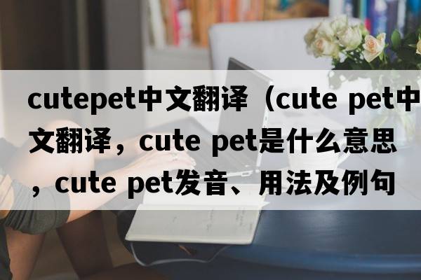 cutepet中文翻譯（cute pet中文翻譯，cute pet是什么意思，cute pet發(fā)音、用法及例句）