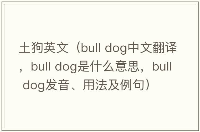土狗英文（bull dog中文翻譯，bull dog是什么意思，bull dog發(fā)音、用法及例句）