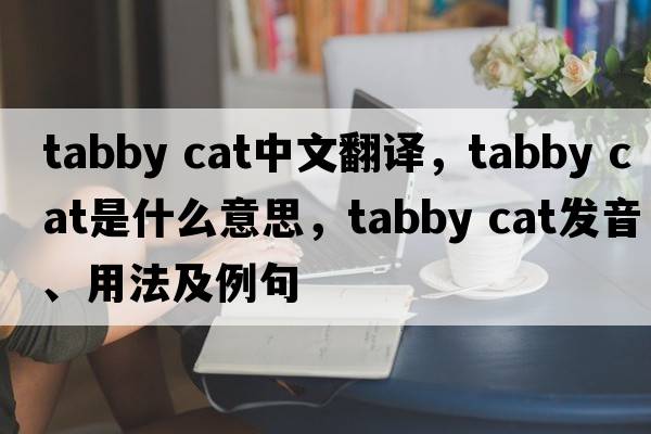 tabby cat中文翻譯，tabby cat是什么意思，tabby cat發(fā)音、用法及例句
