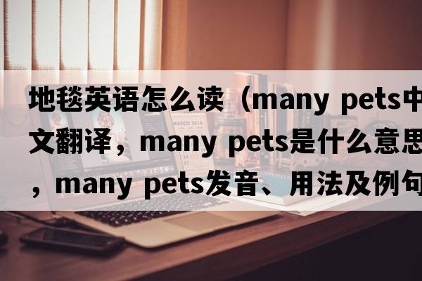 地毯英語怎么讀（many pets中文翻譯，many pets是什么意思，many pets發(fā)音、用法及例句）