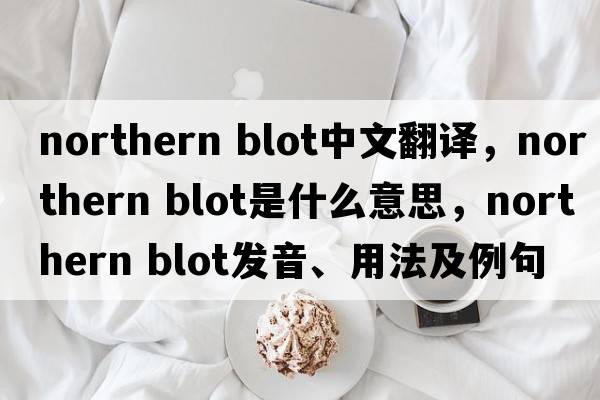 northern blot中文翻譯，northern blot是什么意思，northern blot發(fā)音、用法及例句
