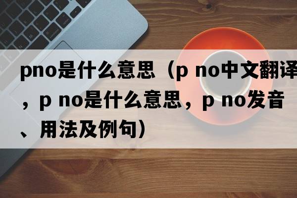 pno是什么意思（p no中文翻譯，p no是什么意思，p no發(fā)音、用法及例句）