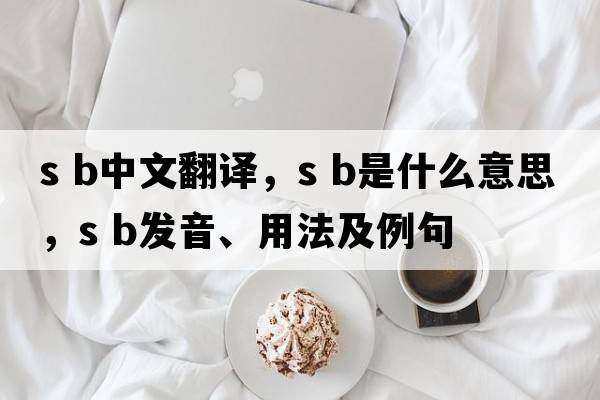 s b中文翻譯，s b是什么意思，s b發(fā)音、用法及例句