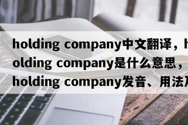 holding company中文翻譯，holding company是什么意思，holding company發(fā)音、用法及例句