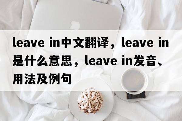 leave in中文翻譯，leave in是什么意思，leave in發(fā)音、用法及例句