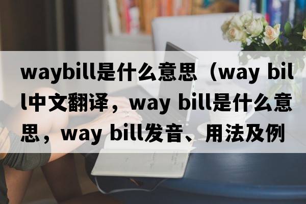 waybill是什么意思（way bill中文翻譯，way bill是什么意思，way bill發(fā)音、用法及例句）