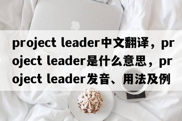 project leader中文翻譯，project leader是什么意思，project leader發(fā)音、用法及例句