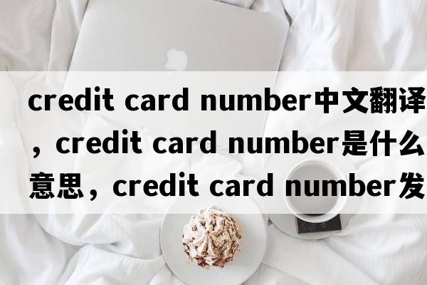 credit card number中文翻譯，credit card number是什么意思，credit card number發(fā)音、用法及例句