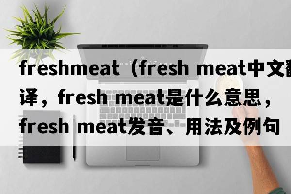 freshmeat（fresh meat中文翻譯，fresh meat是什么意思，fresh meat發(fā)音、用法及例句）