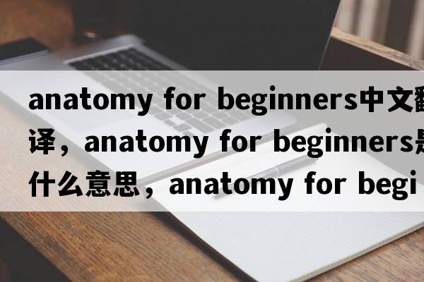 anatomy for beginners中文翻譯，anatomy for beginners是什么意思，anatomy for beginners發(fā)音、用法及例句