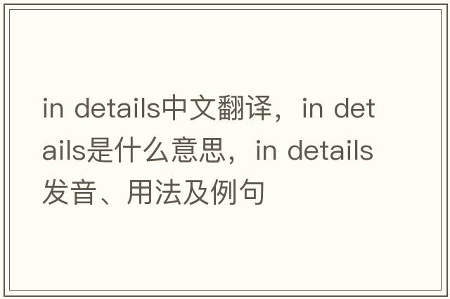 in details中文翻譯，in details是什么意思，in details發(fā)音、用法及例句
