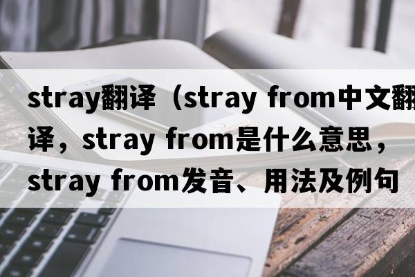 stray翻譯（stray from中文翻譯，stray from是什么意思，stray from發(fā)音、用法及例句）