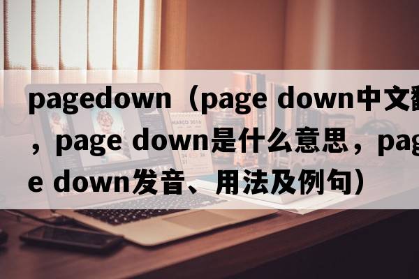 pagedown（page down中文翻譯，page down是什么意思，page down發(fā)音、用法及例句）