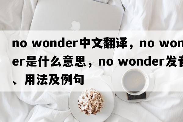 no wonder中文翻譯，no wonder是什么意思，no wonder發(fā)音、用法及例句