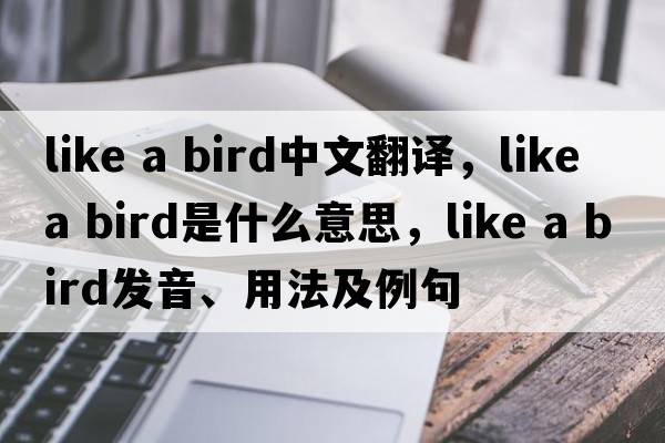 like a bird中文翻譯，like a bird是什么意思，like a bird發(fā)音、用法及例句