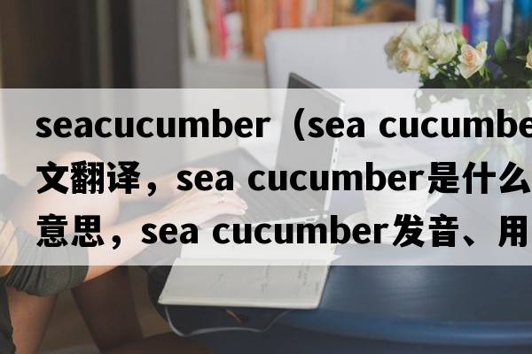 seacucumber（sea cucumber中文翻譯，sea cucumber是什么意思，sea cucumber發(fā)音、用法及例句）
