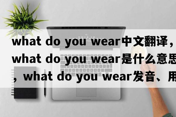 what do you wear中文翻譯，what do you wear是什么意思，what do you wear發(fā)音、用法及例句