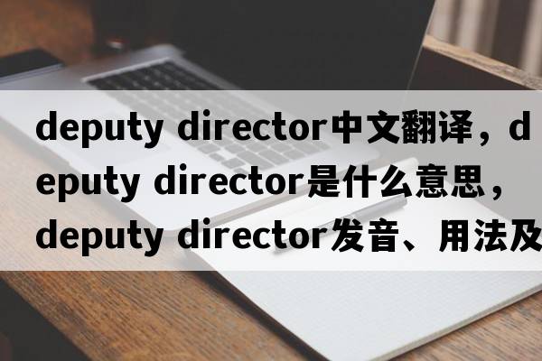 deputy director中文翻譯，deputy director是什么意思，deputy director發(fā)音、用法及例句