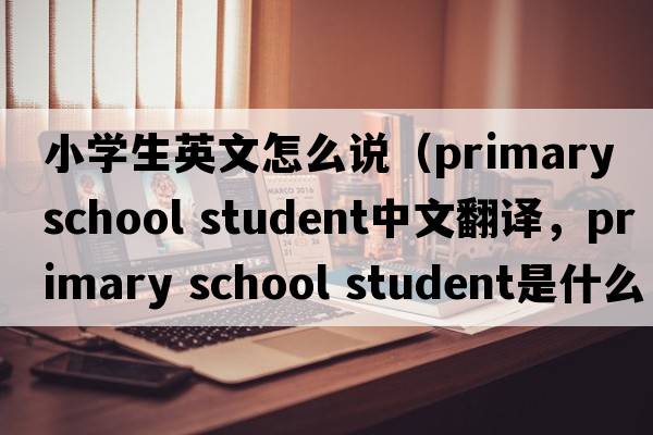 小學生英文怎么說（primary school student中文翻譯，primary school student是什么意思，primary school student發(fā)音、用法及例句）