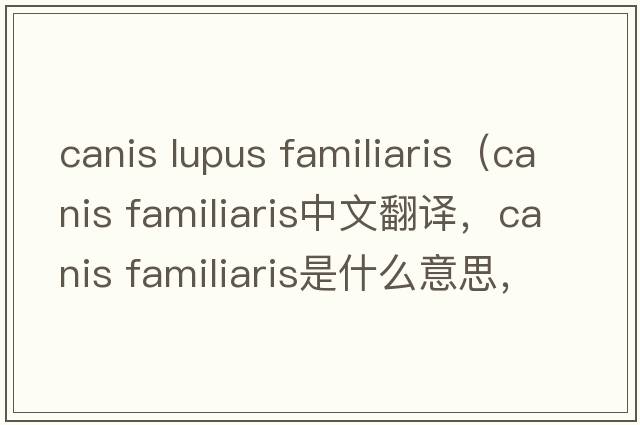 canis lupus familiaris（canis familiaris中文翻譯，canis familiaris是什么意思，canis familiaris發(fā)音、用法及例句）