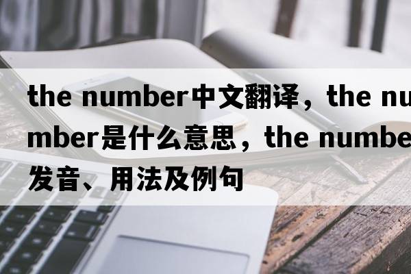 the number中文翻譯，the number是什么意思，the number發(fā)音、用法及例句