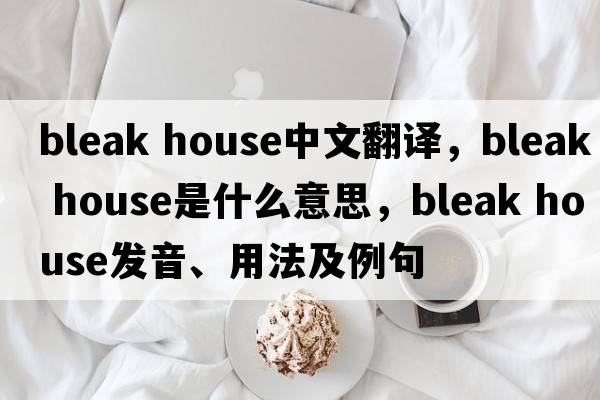 bleak house中文翻譯，bleak house是什么意思，bleak house發(fā)音、用法及例句