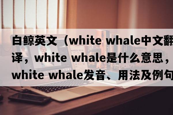 白鯨英文（white whale中文翻譯，white whale是什么意思，white whale發(fā)音、用法及例句）