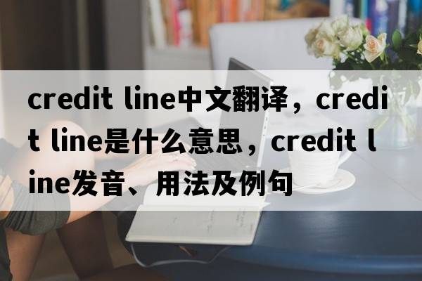 credit line中文翻譯，credit line是什么意思，credit line發(fā)音、用法及例句
