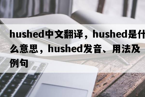 hushed中文翻譯，hushed是什么意思，hushed發(fā)音、用法及例句