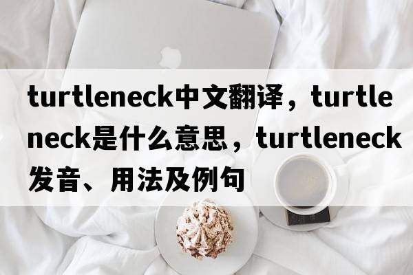 turtleneck中文翻譯，turtleneck是什么意思，turtleneck發(fā)音、用法及例句