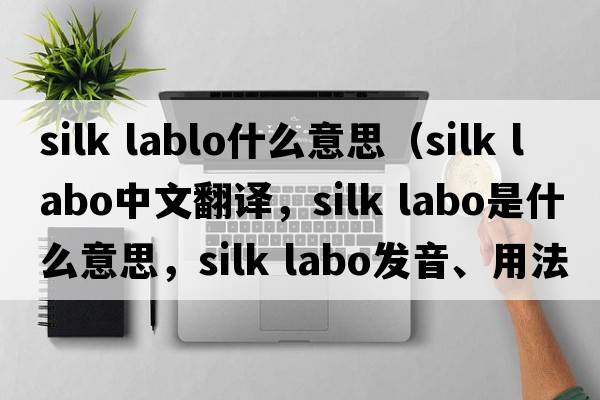 silk lablo什么意思（silk labo中文翻譯，silk labo是什么意思，silk labo發(fā)音、用法及例句）