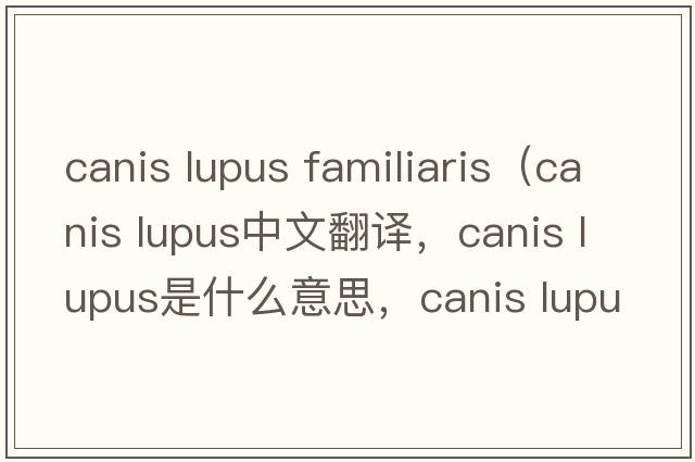 canis lupus familiaris（canis lupus中文翻譯，canis lupus是什么意思，canis lupus發(fā)音、用法及例句）