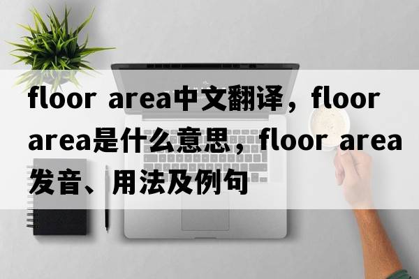 floor area中文翻譯，floor area是什么意思，floor area發(fā)音、用法及例句