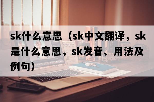 sk什么意思（sk中文翻譯，sk是什么意思，sk發(fā)音、用法及例句）
