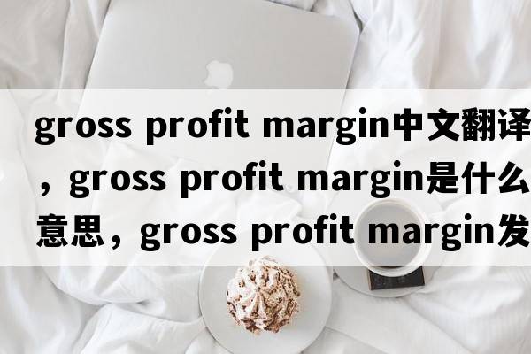 gross profit margin中文翻譯，gross profit margin是什么意思，gross profit margin發(fā)音、用法及例句