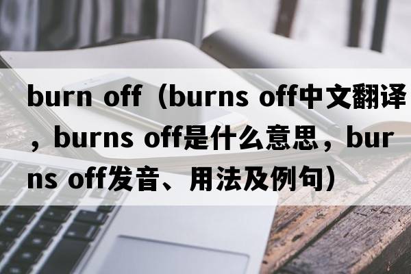 burn off（burns off中文翻譯，burns off是什么意思，burns off發(fā)音、用法及例句）