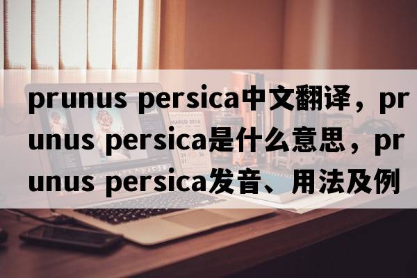prunus persica中文翻譯，prunus persica是什么意思，prunus persica發(fā)音、用法及例句