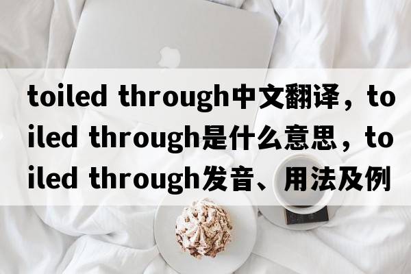 toiled through中文翻譯，toiled through是什么意思，toiled through發(fā)音、用法及例句