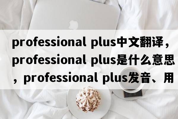 professional plus中文翻譯，professional plus是什么意思，professional plus發(fā)音、用法及例句